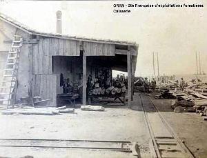 ORAN- 03